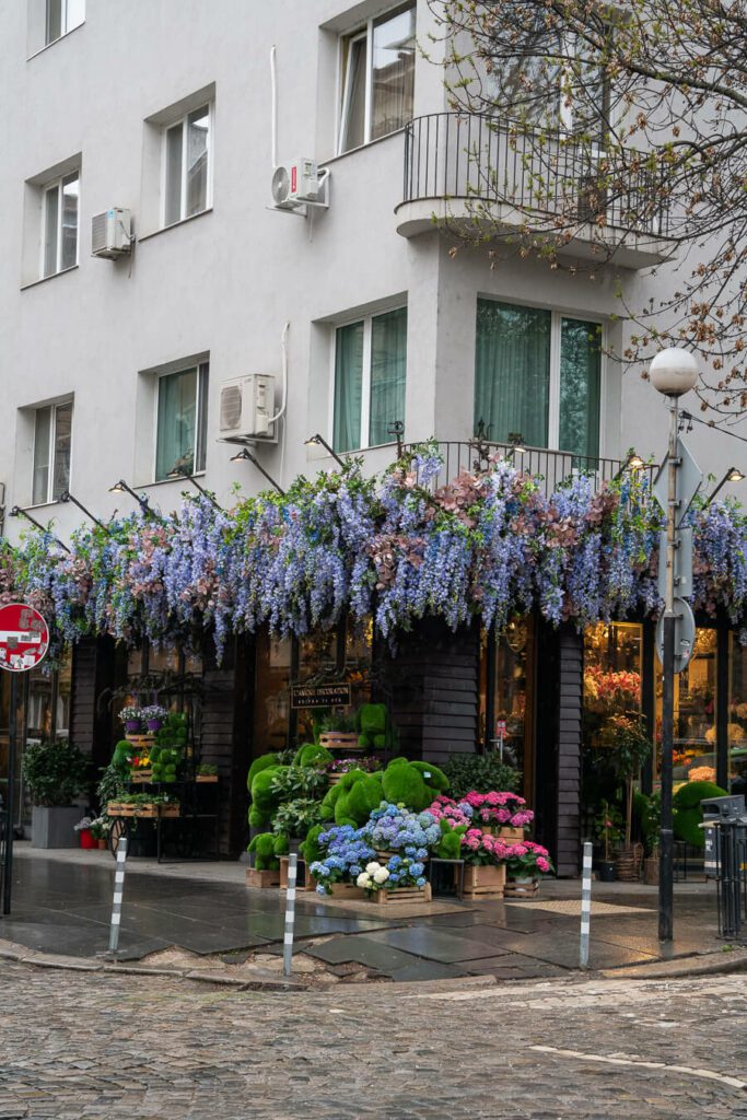 florist in sofia bulgaria