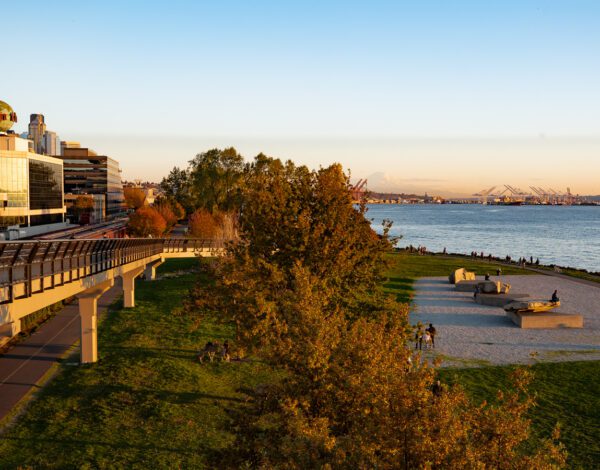 seattle summer sunset on the waterfront