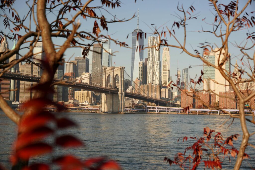 new york city skyline in the fall with maples
