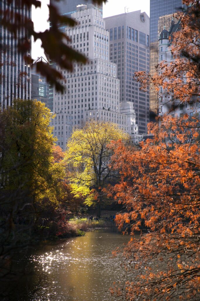 central park lake in the fall