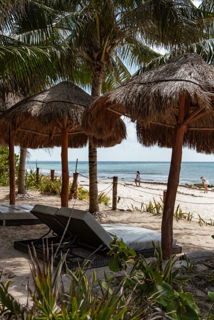 beachside lounger in playa el carmen