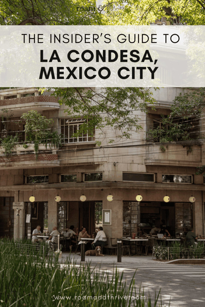 a neighborhood guide to condesa mexico city