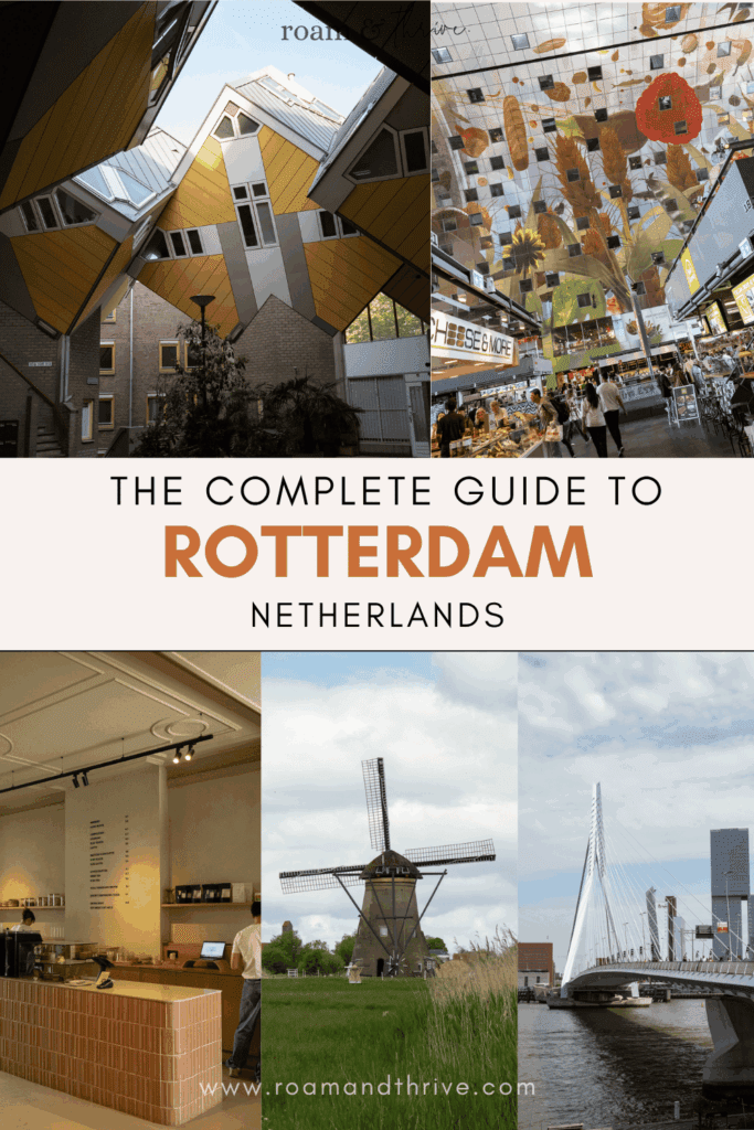 best things to do in rotterdam