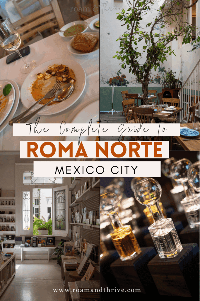 roma norte mexico city