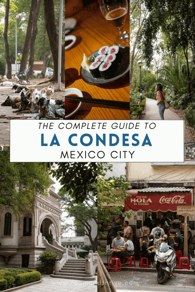 a guide to la condesa mexico city