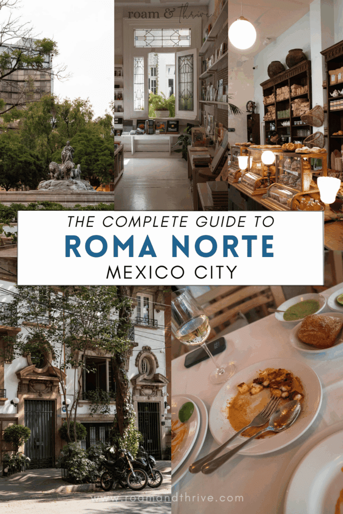an insiders guide to roma norte mexico city