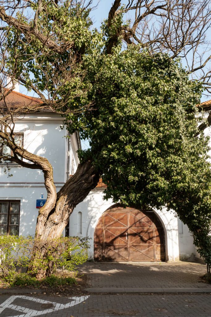 street in the Old Żoliborz district of warsaw