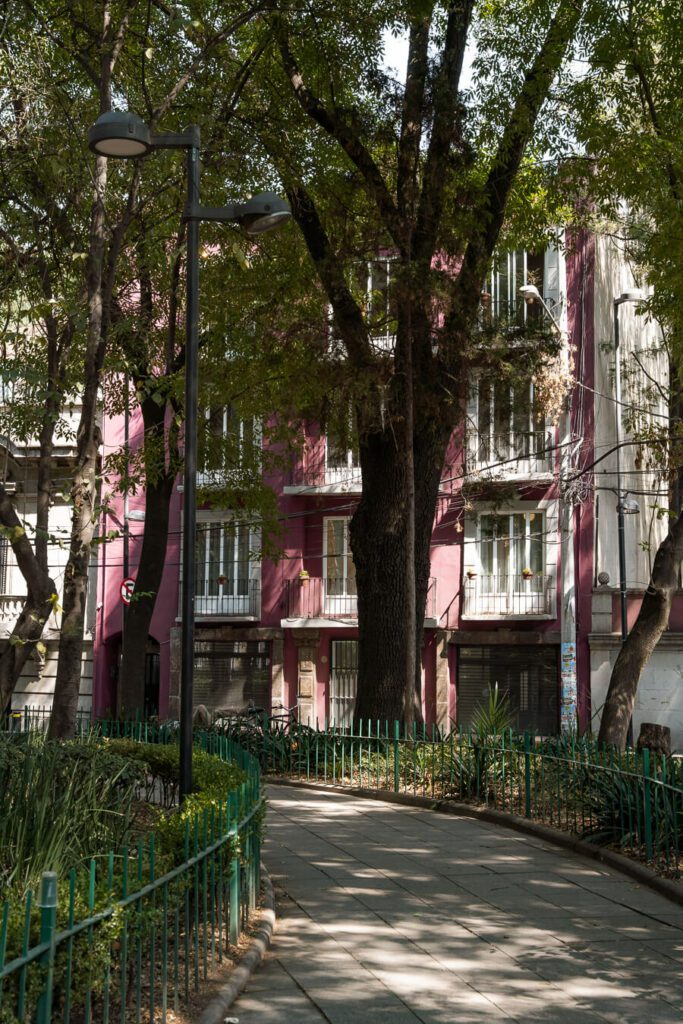 street in roma norte