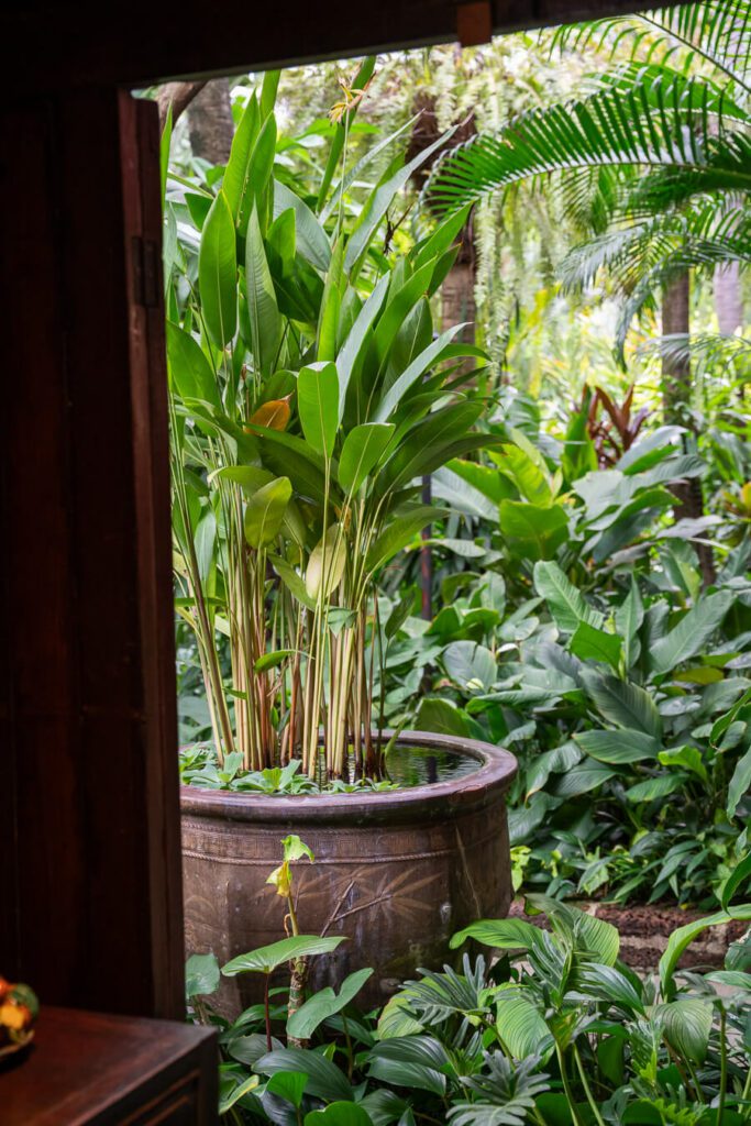 tropical garden in bangkok thailand