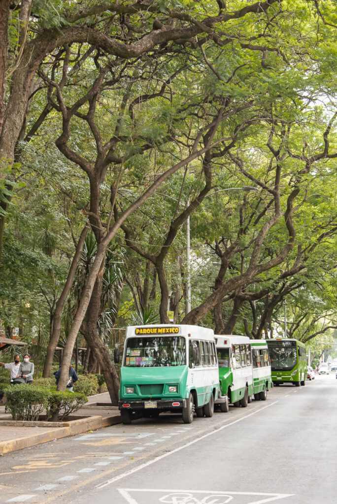 buses in parque mexico, condesa mexico city