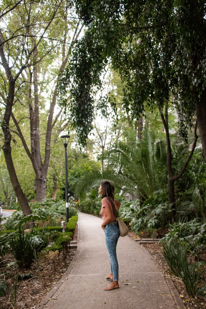 woman, me on Amsterdam avenue in condesa mexico city