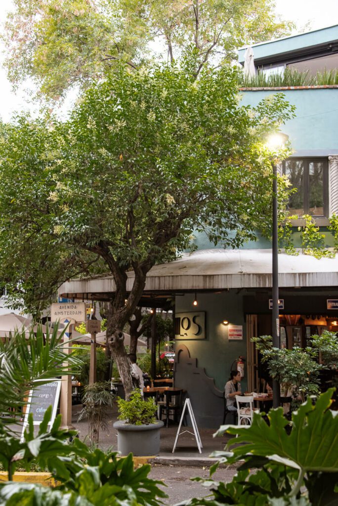 restaurant on Amsterdam Avenue Mexico city