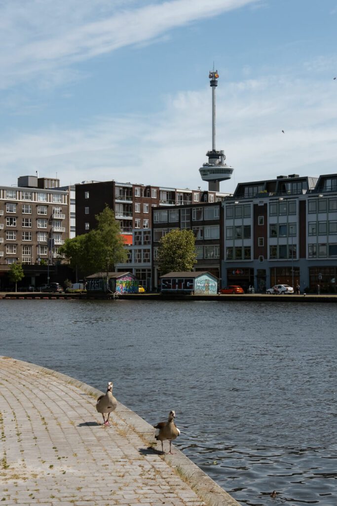 the Delfshaven area of rotterdam canalside