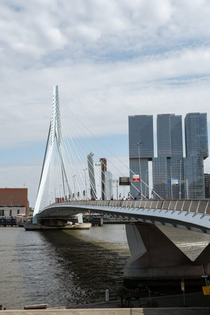 erasmus bridge in rotterdam netherlands