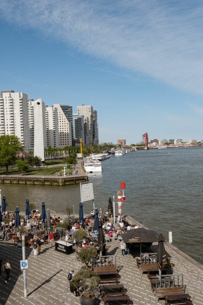 riverside bar in rotterdam