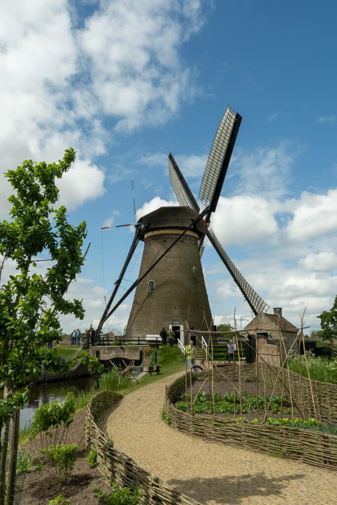visiting a kinderdijk windmill