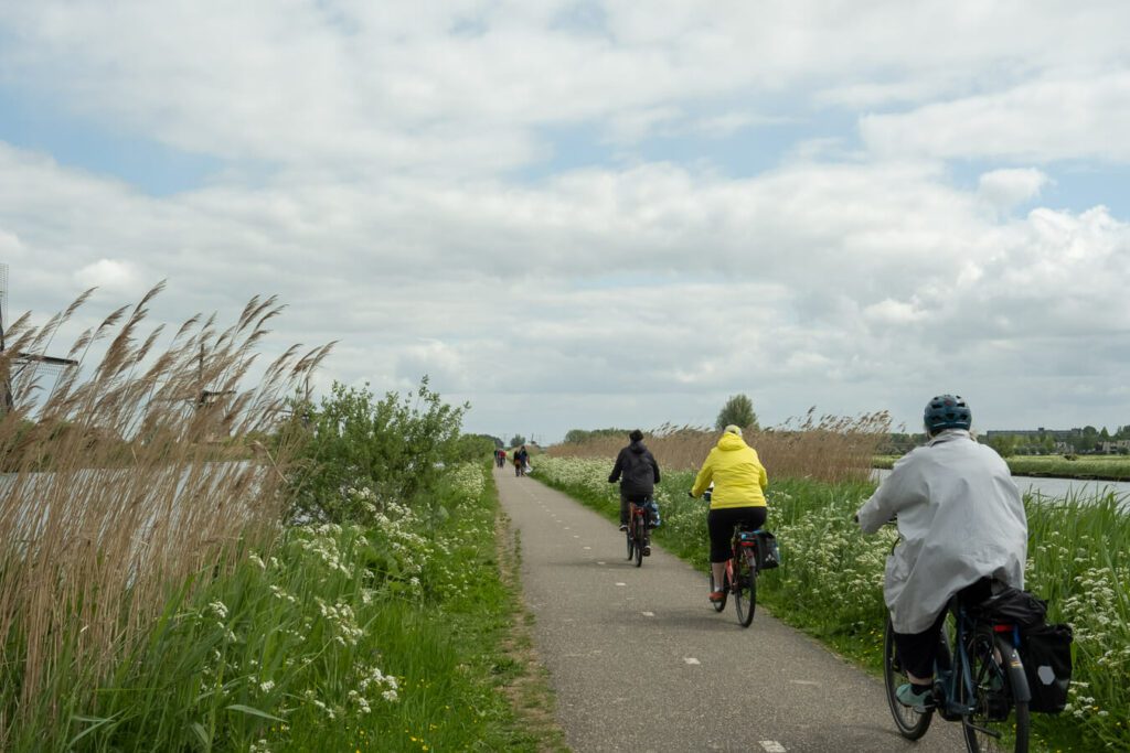 biking on the bike path at the kinderdijk windmills