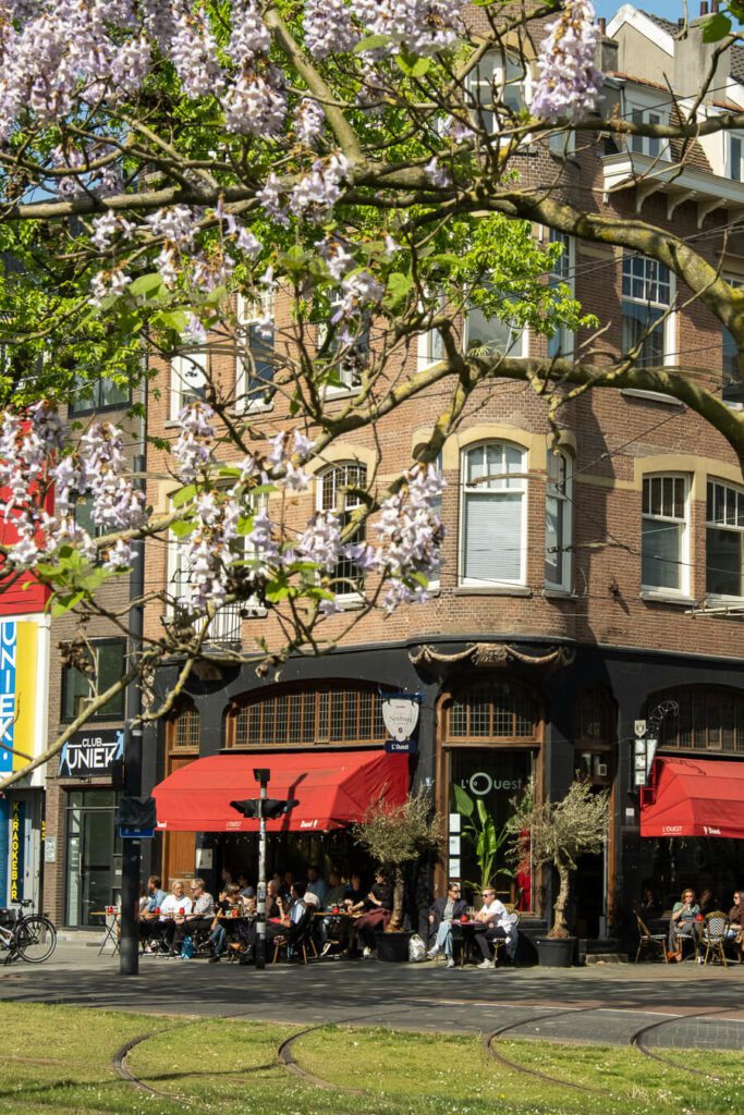 lively cafe front in rotterdam