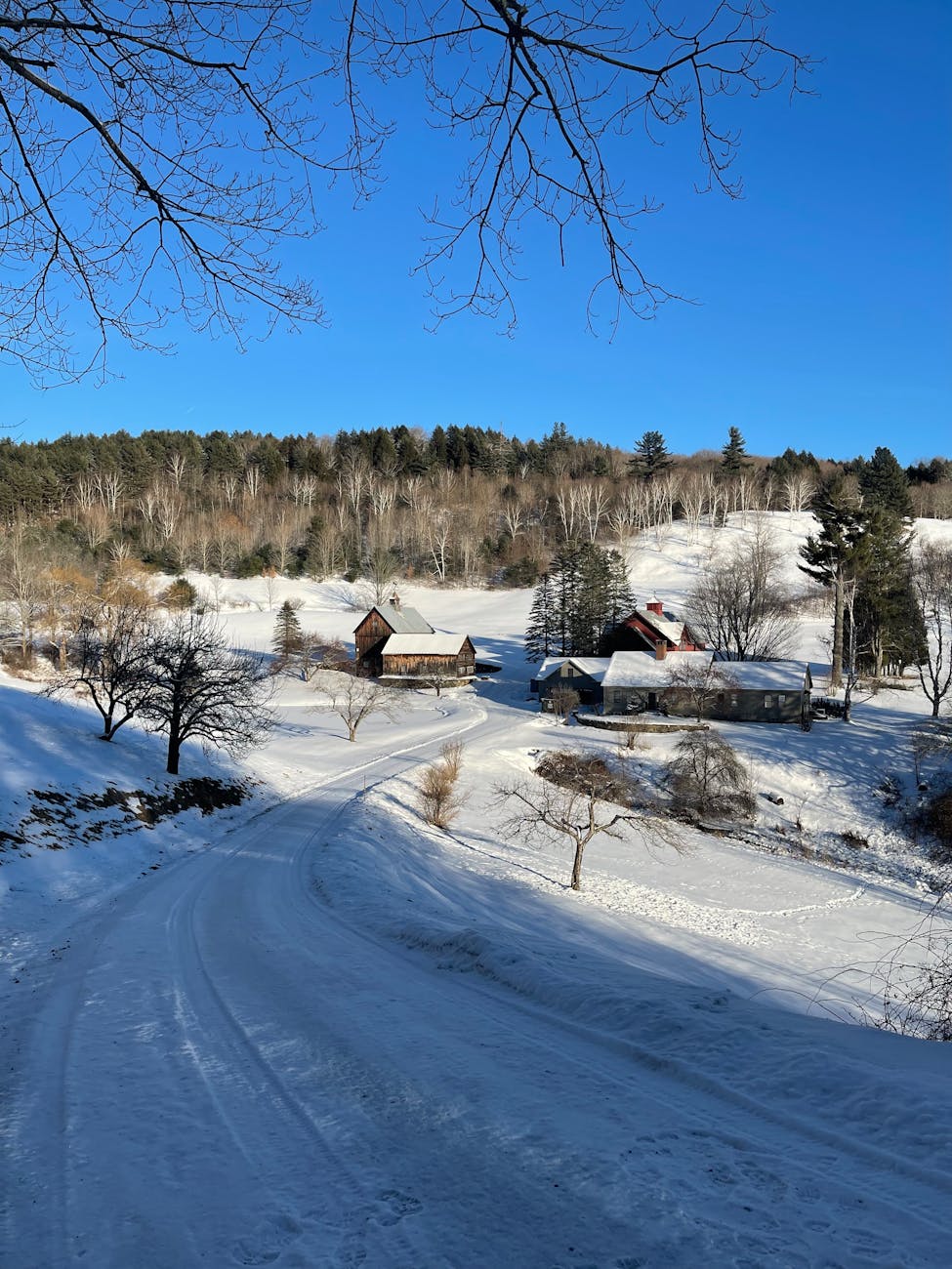 houses and trees on snow covered ground