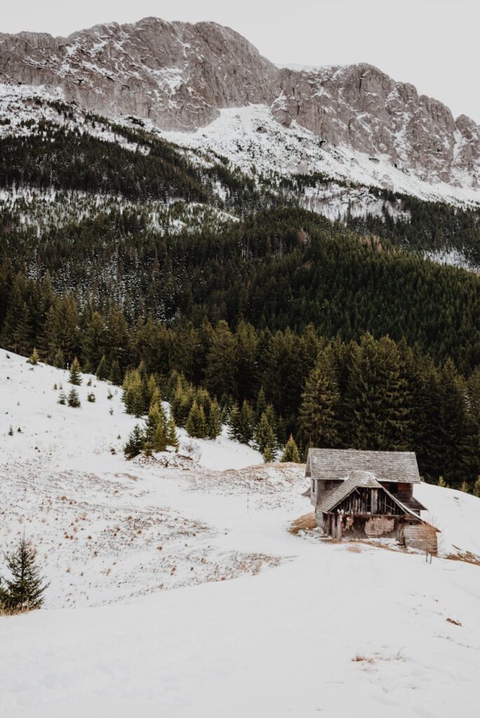 brown wooden house on snow covered ground near green pine trees and mountain